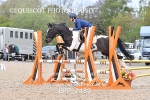 BPP_2489