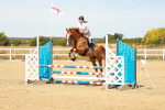 SBM_002981