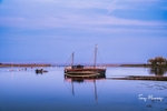 Joanna Mary, Stricken Boat