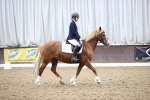 SBM_1375