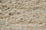 230701A-150047-06854