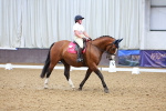 SBM_007368