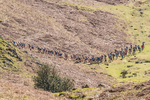 Elterwater-313