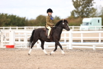 SBM_15940
