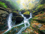 Autumn Cascades