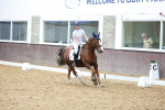 SBM_007632