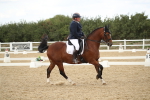 SBM_002979