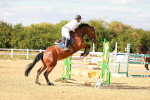 SBM_007797