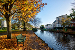 Dawlish Brook early morning in autumn
