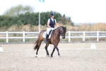 SBM_015331