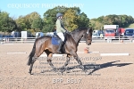 BPP_8517