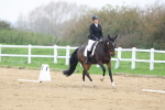 SBM_006340