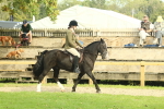 SBM_68184