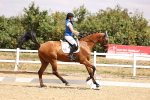 SBM_007400