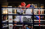 BOUT- 3 - Hannah Le Pelley v Shaznie Elmi-35