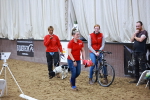 SBM_006291