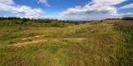 Manor Fields Park #10
