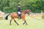 SBM_15807