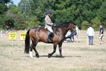 WJ7_3412