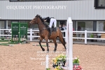 BPP_8206