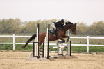 SBM_002361
