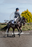 Dressage_29-09-2018-16