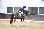 SBM_002486