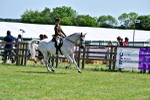 SBM_15368
