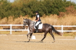 SBM_016573