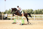 SBM_007961