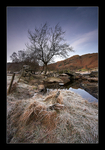 A Touch of Frost