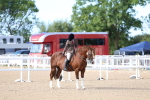 SBM_16769