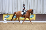 SBM_003915