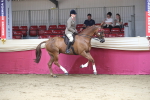 SBM_02040