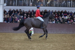 SBM_004061
