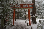 Japan portfolio