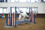 SBM_001383
