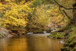 Afon Mellte Gold