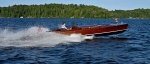 Whippet23-3577