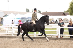 SBM_04197