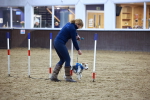 SBM_005537