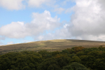 Dartmoor _ DR 27