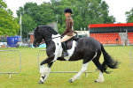 SBM_00943
