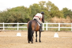 SBM_006393