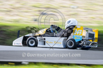 HILLCLIMB KART_17-04-2017-16
