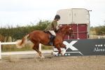 SBM_04895