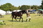 SBM_19297