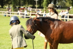 SBM_68587