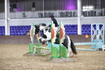 SBM_003966