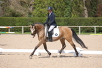 British Dressage portfolio